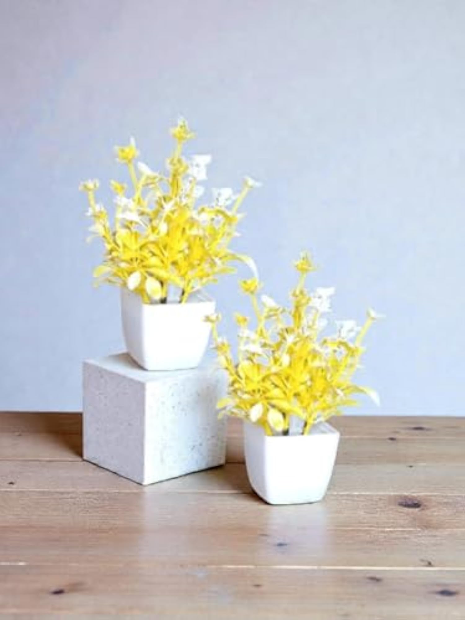 Set of 2 Decorative Yellow & White Flower Pots